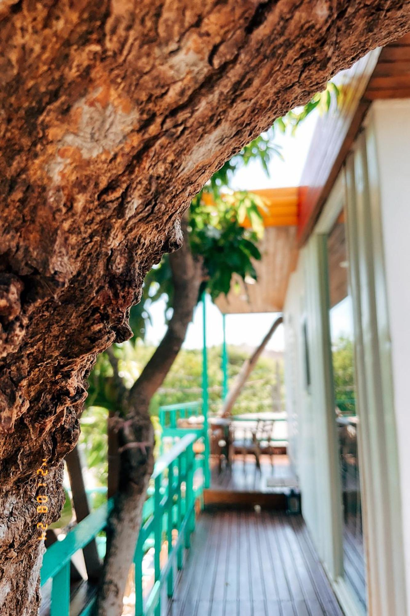 Little Ryukyu Hermit Crab Homestay Xiaoliuqiu Exterior foto